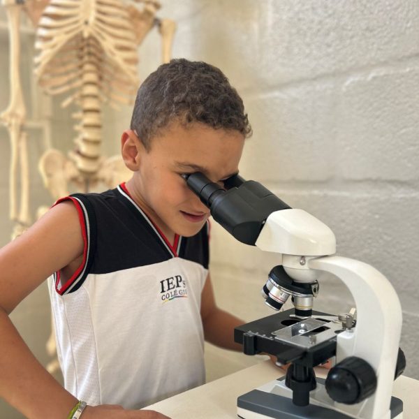 ENSINO FUNDAMENTAL ANOS INICIAIS - Ieps Colegio (4)